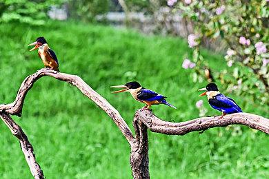 《异度神剑3》获TGA多项提名 光田康典发文致谢