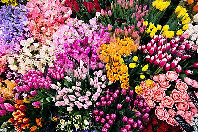 《合金装备：大师合集》PC版仅支持1080P