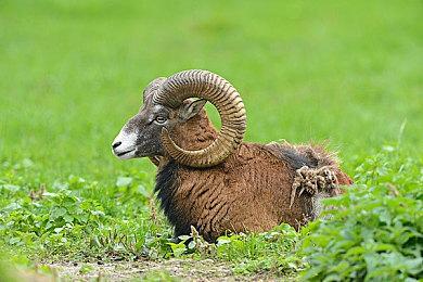 《地铁：觉醒》有两种移动预设 PSVR2支持细节曝光