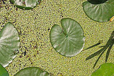 《漫威暗夜之子》玩家角色“猎人”背景历史预告片